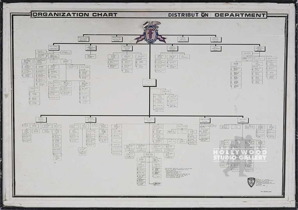 Nypd Chain Of Command Chart