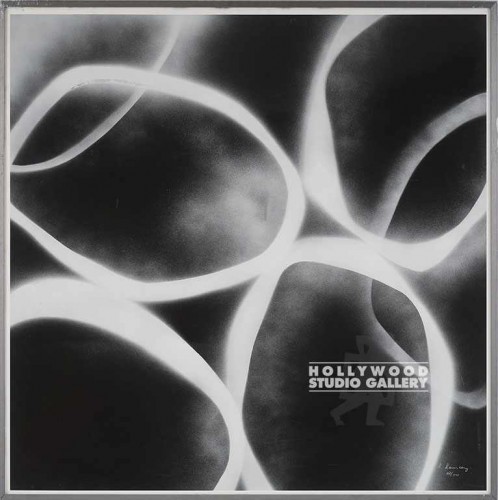 34X34 DAUNCEY GRAVITAS2-WHITE LOOPS