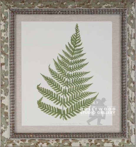 18X16 PANTEEK FERN-DUPE/WHT.WASH