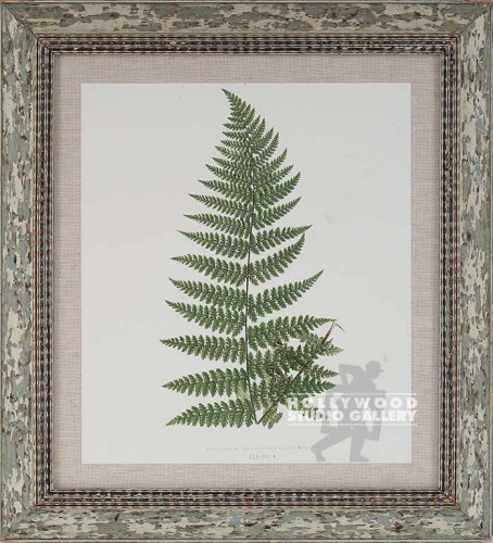 18X16 PANTEEK FERN-DUPE/WHT.WASH
