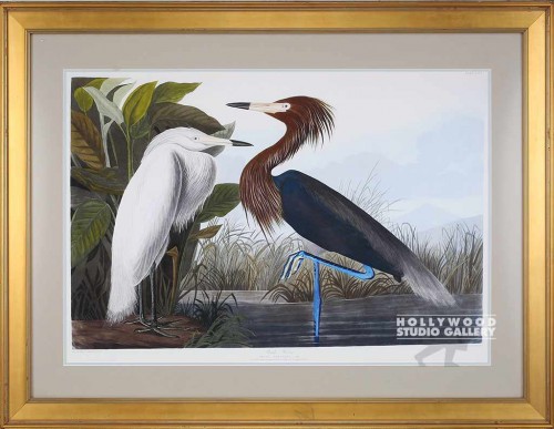 39X51 AUDUBON PURPL HERONS/GOLD