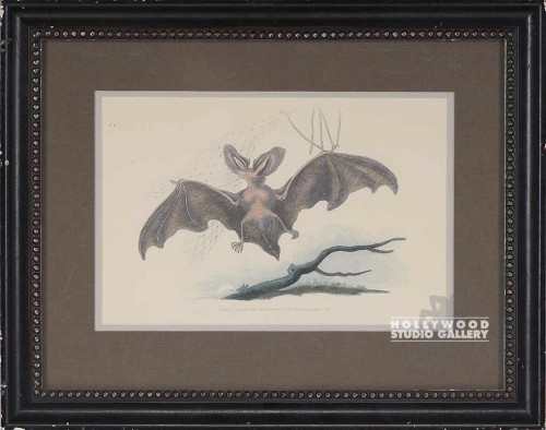 17X22 DONOVAN LONG-EAR BAT-COPY/BLK