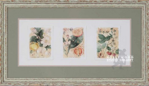 15X26 SCHRACK 3-FRUITANICALS/RUSTIC
