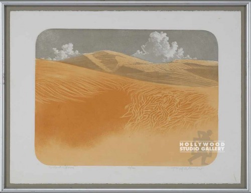 26X33 WHEELER SILENT STORM/SILVR