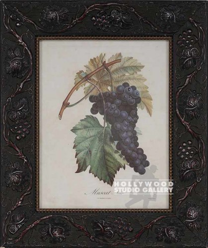 20X16 MUSCAT NOIR-GRAPES/GRAPES FRM