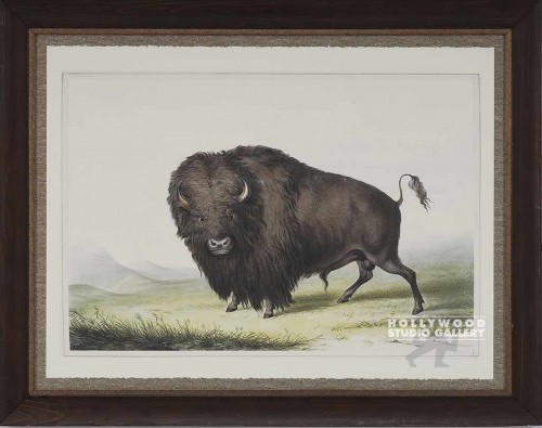29X37 AM.BUFFALO-LITHO/RUSTIC WD