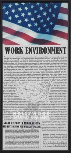36X17BLK FRM/FLAG WORK ENVIRONMENT