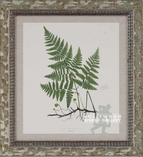 18X16 PANTEEK FERN-DUPE/WHT WASH