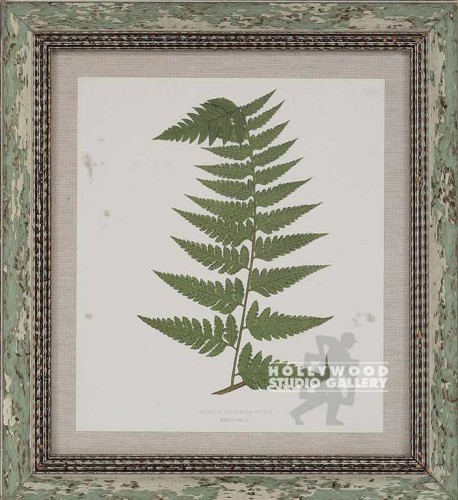 18X16 PANTEEK FERN-DUPE/WHT.WASH