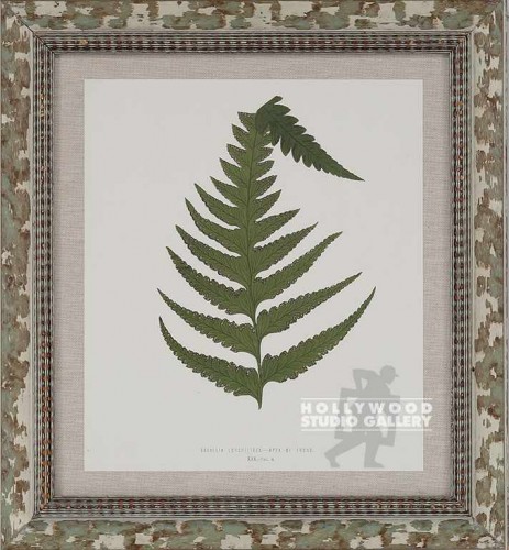 18X16 PANTEEK FERN-DUPE/WHT.WASH