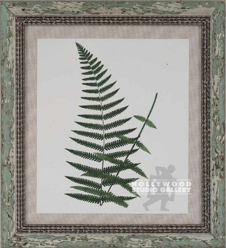 18X16 PANTEEK FERN-DUPE/WHT.WASH
