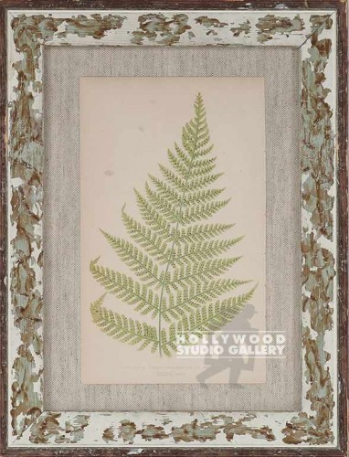 14X11 PANTEEK ANTQ.FERN/WHT.WASH
