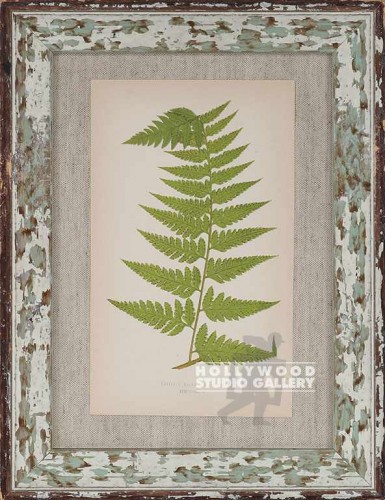 14X11 PANTEEK ANTQ.FERN/WHT.WASH