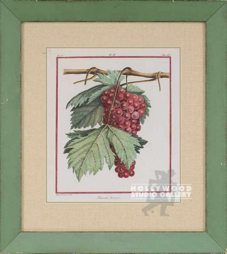 17X15 MONCEAU GRAPES PRINT/GREEN