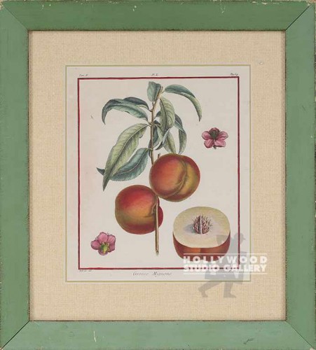17X15 MONCEAU PEACHES PRINT/GREEN