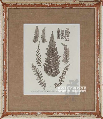 16X13 ANON. FERN PRINT / WHITEWASH