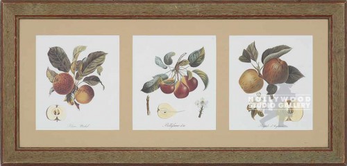 18x38 (3-PANEL) APPLE BOTANICAL