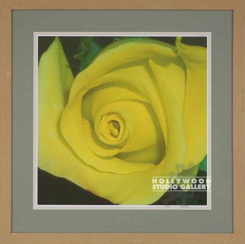 34X34 BALL YEL.ROSE PHOTO/LT WOOD