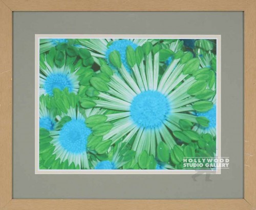 28X33 BALL BLUE DAISIES FOTO/LT WD