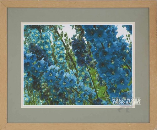 28X33 BALL PURPL WILDFLOWERS/LT WD