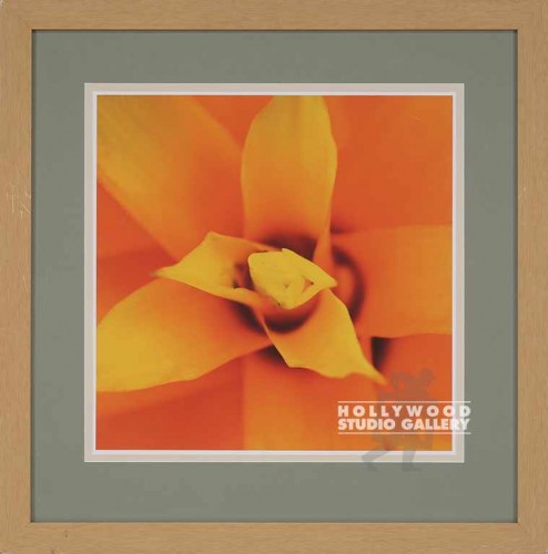 28X28 USSERY ORANGE SUCCULENT/LT WD
