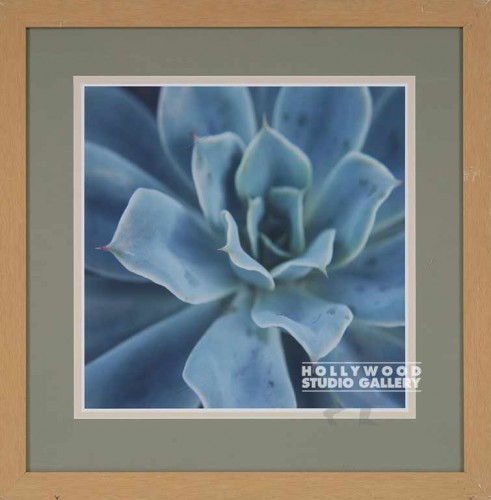 28X28 USSERY SWEET SUCCULENT-GRN/LT
