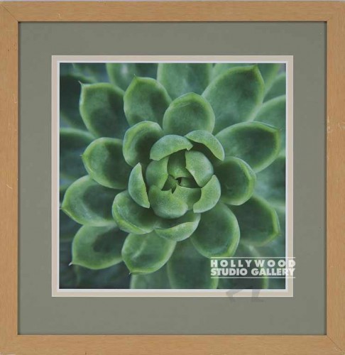 28X28 USSERY GREEN SUCCULENT/ LT WD