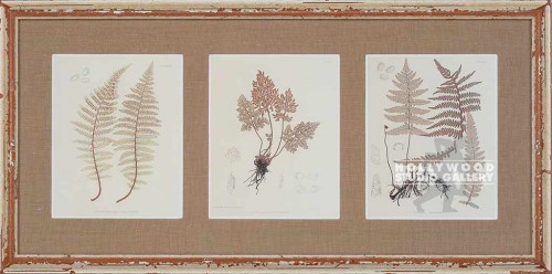16X33 ANON. TRIPLE FERN/ WHITEWASH