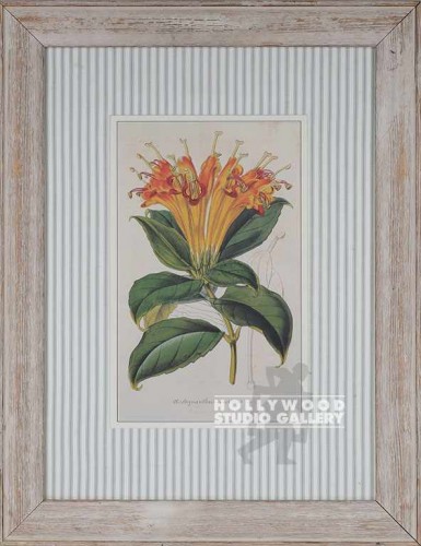 26X20 BOTANICAL-STRIPED MAT/WH.WASH