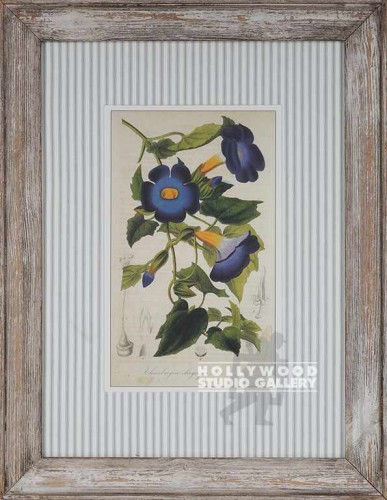 26X20 BOTANICAL-STRIPED MAT/WH.WASH
