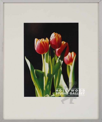 17X14 LIGHTNER 4 RED TULIPS/METAL