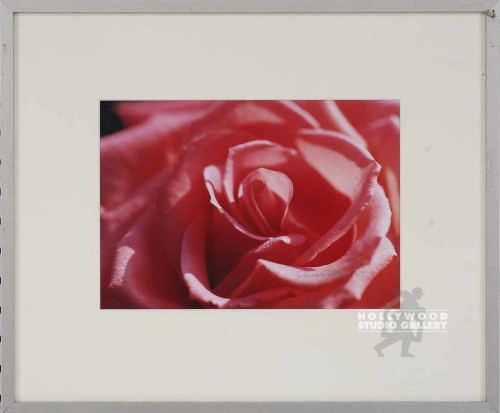14X17 LIGHTNER ROSE CLOSEUP/METAL
