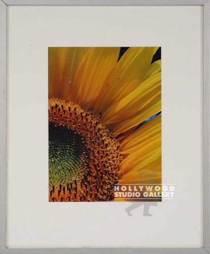 17X14 LIGHTNER SUNFLOWER DETAIL/MTL