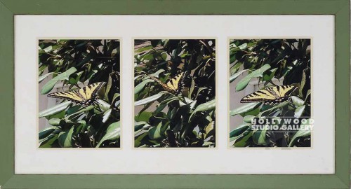 18X34 W.DE BIASIO 3-PANEL BUTTERFLY