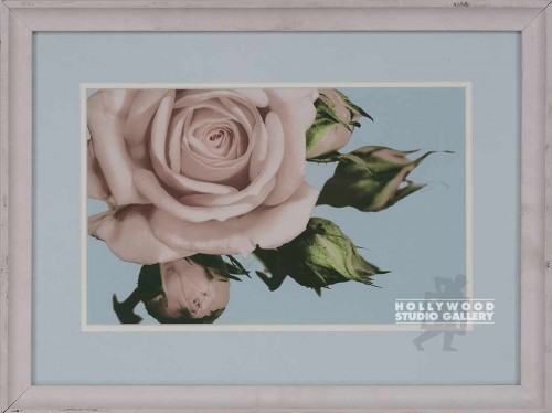 14X18 GIARTLAB VINTG FLORALS A/PINK