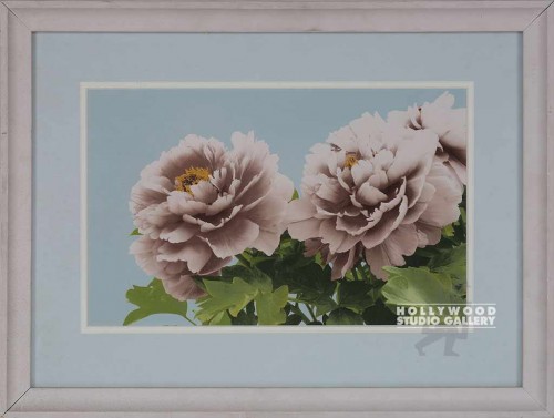 14X18 GIARTLAB VINTG FLORALS B/PINK