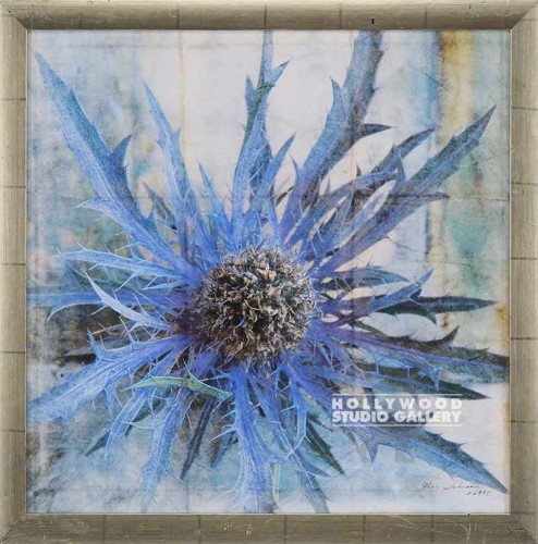 22x22 SCHRACK THISTLE 2-BLU/SILVER