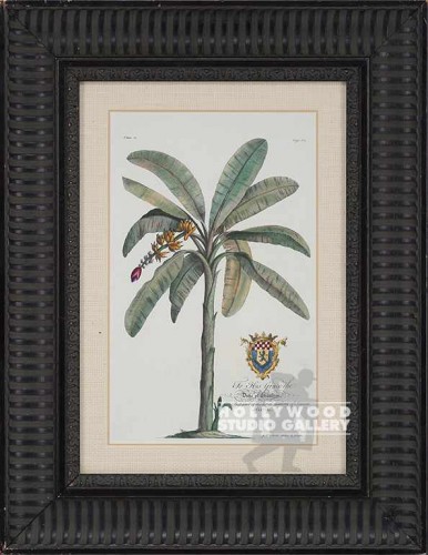 25X19 BANANA TREE-ANTQ/3" BLACK RIB