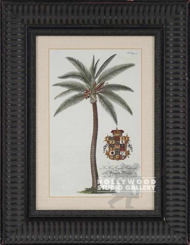 25X19 COCONUT PALM-ANTQ/3"BLK.FLUTE