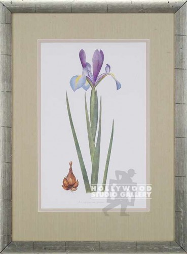 25X18 DYKES IRIS BOTANICAL/ SILVER