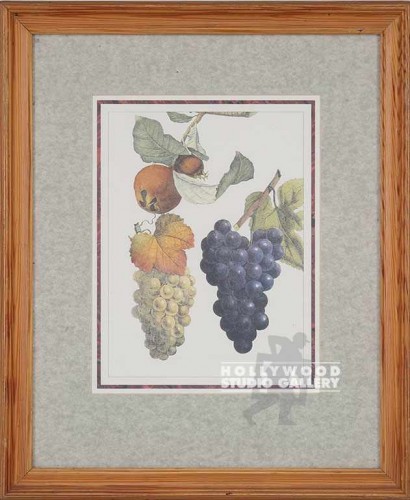 21x18 Fruitanical Wht Bg/Pine