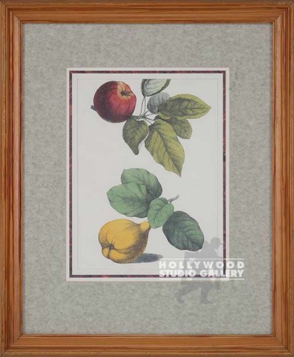 21x18 Fruitanical Wht Bg/Pine