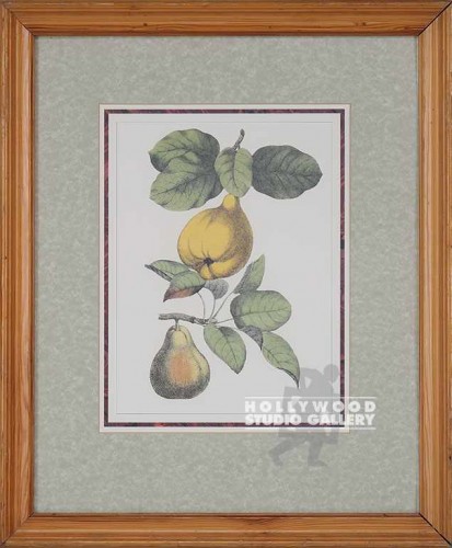 21x18 Fruitanical Wht Bg/Pine