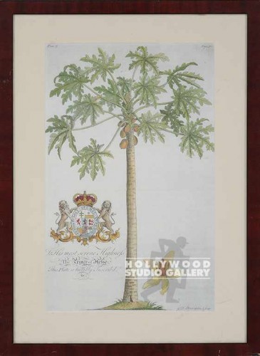 25x18 Palm Tree w/Crest/Dupe