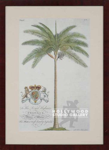 25x18 Palm Tree w/Crest/Dupe