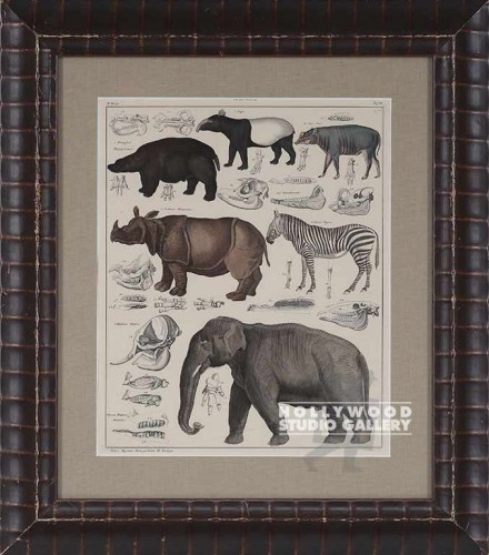20X18 PANTEEK RHINO,ZEBRA ETC/LUMPY