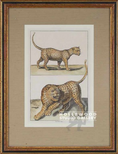 19X14 ANTQ.LEOPARD(S) ENGRVING/GOLD