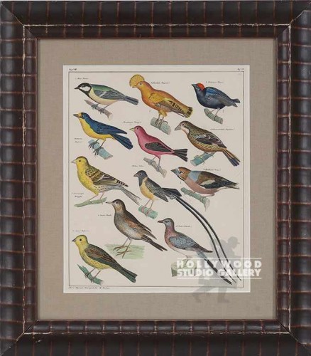 20X17 PANTEEK OKEN BIRDS 1833/LUMPY