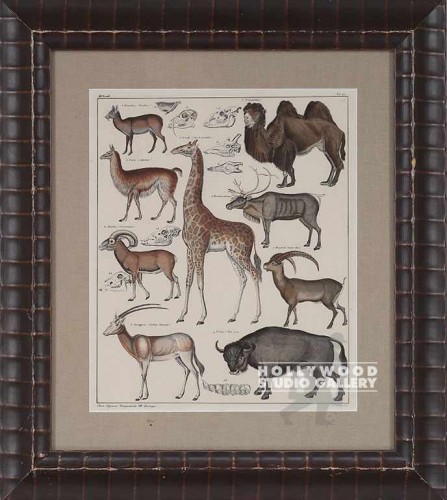 20X18 PANTEEK OKEN GIRAFE-ELK/LUMPY