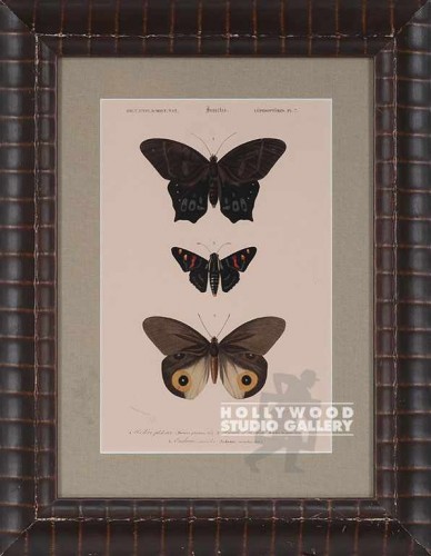 19X15 PANTEEK BUTTERFLY-DUPE /LUMPY